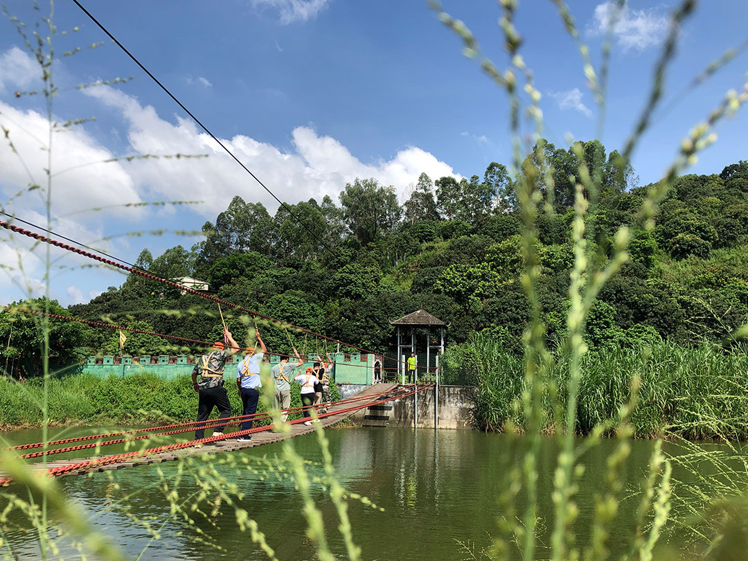 润苗农场飞夺泸定桥.jpg