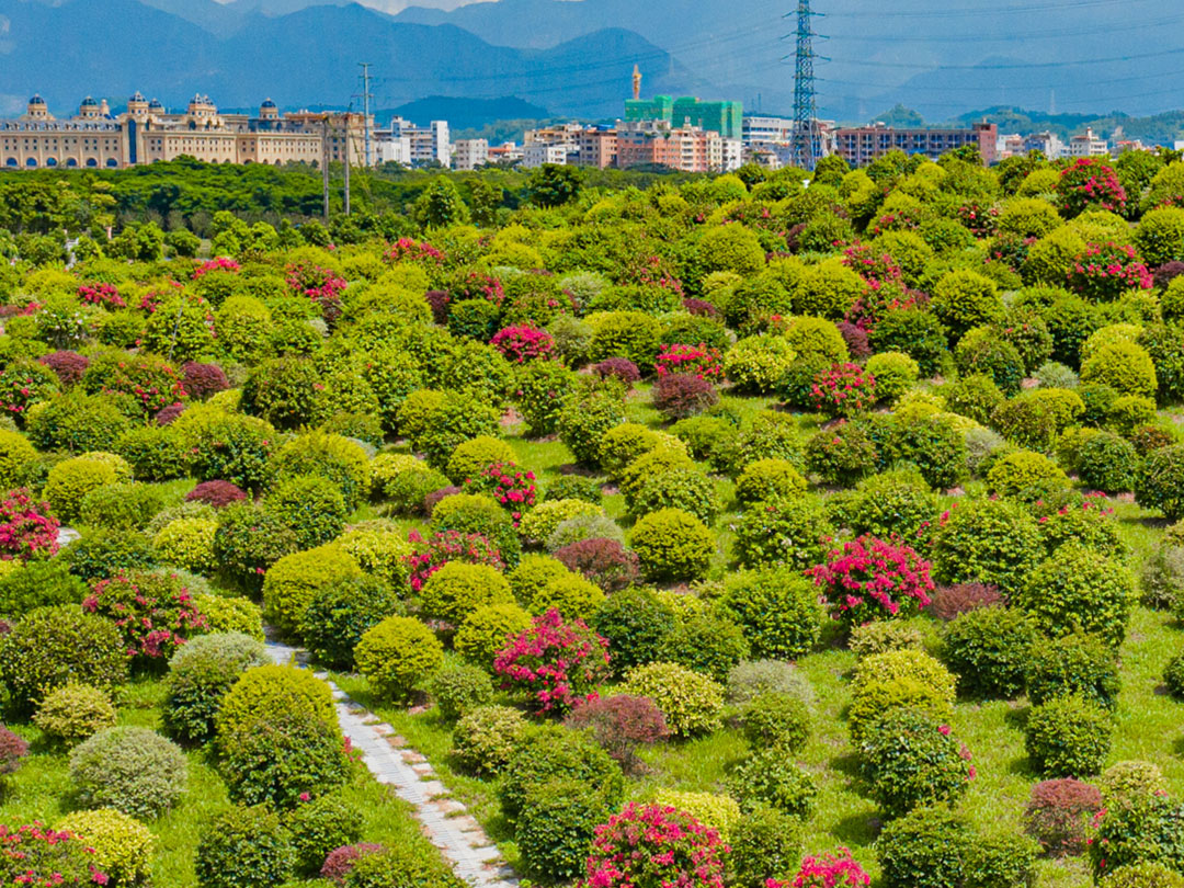 千花洲度假区